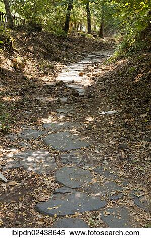 "Roman road on the Tuscolo Hill leading to the Ruins of the Roman city of Tusculum south of Rome, Italy, Europe" View Large Photo Image Stock Photography - "Roman road on the Tuscolo Hill leading to the Ruins of the Roman city of Tusculum south of Rome, Italy, Europe". Fotosearch