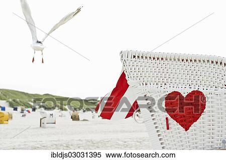 "Roofed wicker beach chair with a red heart on the beach and a seagull in flight, Norddorf, Amrum, Amrum, North Frisian Islands, Schleswig-Holstein, Germany, Europe" View Large Photo Image Stock Photography - "Roofed wicker beach chair with a red heart on the beach and a seagull in flight, Norddorf, Amrum, Amrum, North Frisian Islands, Schleswig-Holstein, Germany, Europe". Fotosearch