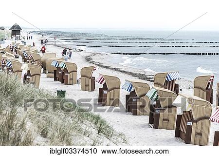"Roofed wicker beach chairs on a beach on the Baltic Sea coast, Wustrow, Mecklenburg-Western Pomerania, Germany, Europe" View Large Photo Image Stock Image - "Roofed wicker beach chairs on a beach on the Baltic Sea coast, Wustrow, Mecklenburg-Western Pomerania, Germany, Europe". Fotosearch