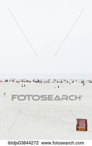 "Roofed wicker beach chairs on the beach, Nebel, North Frisian Islands, Amrum, Schleswig-Holstein, Germany, Europe" View Large Photo Image Stock Image - "Roofed wicker beach chairs on the beach, Nebel, North Frisian Islands, Amrum, Schleswig-Holstein, Germany, Europe". Fotosearch