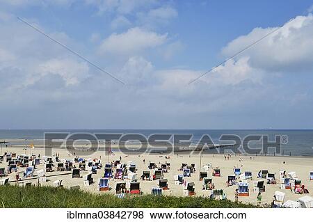 Stock Photo - "Roofed wicker beach chairs on the beach, Wangerooge, Friesland, Lower Saxony, Germany, Europe". Fotosearch