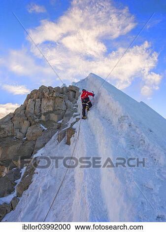 Stock Image - "Roped alpinist climbing, Huayna Potosi mountain, Cordillera Real, Bolivia, South America". Fotosearch