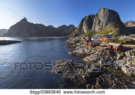 "Rorbu fishermen's houses, Hamnoy, Moskenesoy, Lofoten, Nordland, Norway, Europe" View Large Photo Image Stock Photograph - "Rorbu fishermen's houses, Hamnoy, Moskenesoy, Lofoten, Nordland, Norway, Europe". Fotosearch