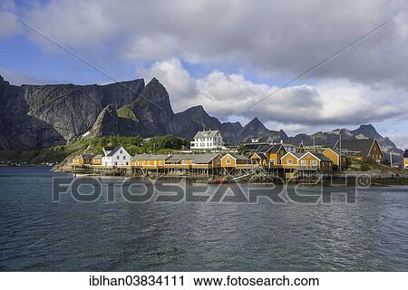 "Rorbus settlement, Sakrisoya, Lofoten, Nordland, Norway, Europe" View Large Photo Image Stock Image - "Rorbus settlement, Sakrisoya, Lofoten, Nordland, Norway, Europe". Fotosearch