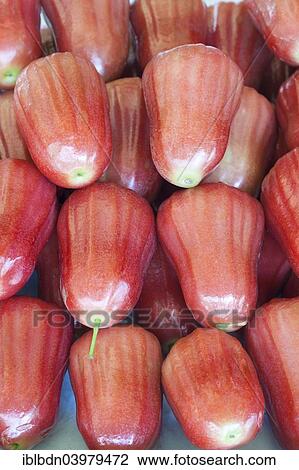 Stock Image - "Rose apples on sale at a market, Thailand, Asia". Fotosearch