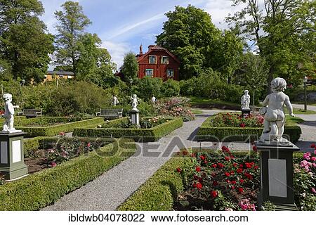 "Rose garden, Skansen open-air museum, Djugarden, Stockholm, Sweden, Europe" View Large Photo Image Stock Image - "Rose garden, Skansen open-air museum, Djugarden, Stockholm, Sweden, Europe". Fotosearch