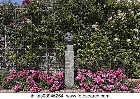 "Rose garden with a statue of Christian Dior, Villa Les Rhumbs, Musee et Jardin Christian Dior, Granville, Cotentin peninsula, Departement Manche, Lower Normandy, France, Europe" View Large Photo Image Picture - "Rose garden with a statue of Christian Dior, Villa Les Rhumbs, Musee et Jardin Christian Dior, Granville, Cotentin peninsula, Departement Manche, Lower Normandy, France, Europe". Fotosearch