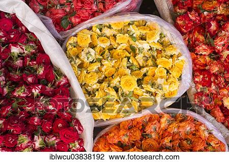 Stock Image - "Roses at a market stall, Mysore, Karnataka, India, Asia". Fotosearch