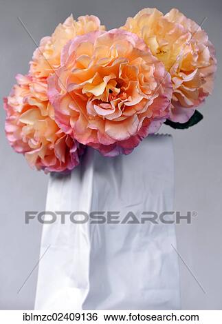 Roses in a modern white porcelain vase View Large Photo Image Stock Photograph - Roses in a modern white porcelain vase. Fotosearch