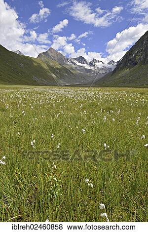 "Rotmoostal Valley with the Oetztal Alps at back, Tyrol, Austria, Europe" View Large Photo Image Stock Photo - "Rotmoostal Valley with the Oetztal Alps at back, Tyrol, Austria, Europe". Fotosearch