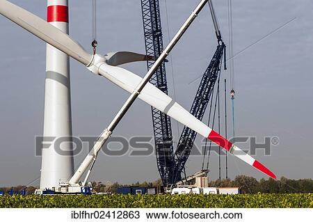 Rotor blades of a wind turbine hanging on a crane, Grevenbroich, North Rhine-Westphalia, Germany, Europe View Large Photo Image Stock Image - Rotor blades of a wind turbine hanging on a crane, Grevenbroich, North Rhine-Westphalia, Germany, Europe. Fotosearch