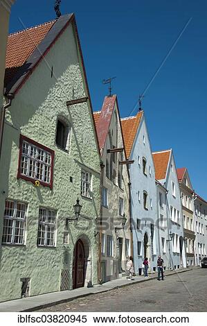 "Row of houses, Ruutli street, historic centre, Tallinn, Estonia, Baltic States, Europe" View Large Photo Image Stock Photography - "Row of houses, Ruutli street, historic centre, Tallinn, Estonia, Baltic States, Europe". Fotosearch