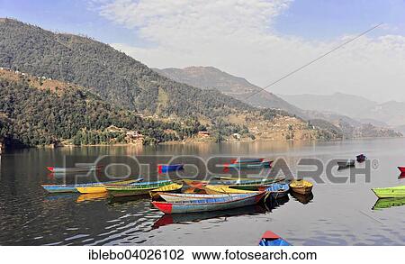 "Rowing boats on Phewa Lake, Pokhara, Nepal, Asia" View Large Photo Image Stock Image - "Rowing boats on Phewa Lake, Pokhara, Nepal, Asia". Fotosearch