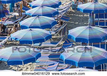 "Rows of parasols on the beach, Sestri Levante, Liguria, Italy, Europe" View Large Photo Image Stock Photo - "Rows of parasols on the beach, Sestri Levante, Liguria, Italy, Europe". Fotosearch