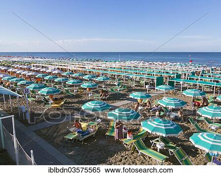 "Rows of sunshades on the beach, Riccione, Emilia-Romagna region, Italy, Europe" View Large Photo Image Stock Photography - "Rows of sunshades on the beach, Riccione, Emilia-Romagna region, Italy, Europe". Fotosearch