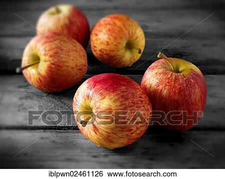 Royal Gala apples View Large Photo Image Stock Photograph - Royal Gala apples. Fotosearch
