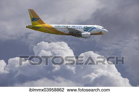 "RP-C 3191 CEBU Pacific Air Airbus A319 in flight, Philippines, Asia" View Large Photo Image Stock Image - "RP-C 3191 CEBU Pacific Air Airbus A319 in flight, Philippines, Asia". Fotosearch