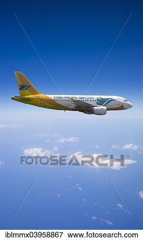 "RP-C 3191 CEBU Pacific Air Airbus A319 in flight, Philippines, Asia" View Large Photo Image Stock Photo - "RP-C 3191 CEBU Pacific Air Airbus A319 in flight, Philippines, Asia". Fotosearch