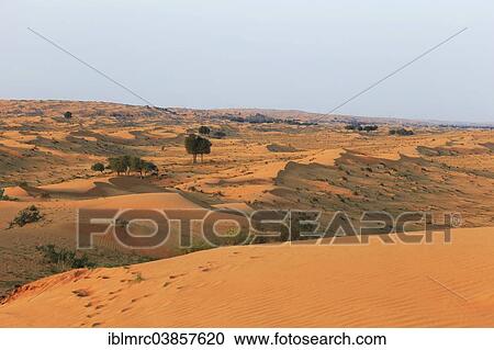 Stock Image - "Rub' al Khali desert, United Arab Emirates, Asia". Fotosearch