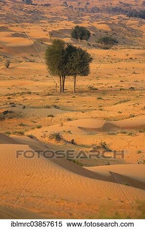 Stock Photography - "Rub' al Khali desert, United Arab Emirates, Asia". Fotosearch