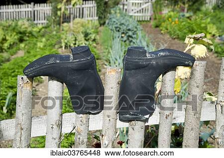 "Rubber boots on a fence, Austria, Europe" View Large Photo Image Stock Photo - "Rubber boots on a fence, Austria, Europe". Fotosearch