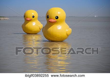 Stock Photography - "Rubber ducks on Lake Tai, Huzhou, Zhejiang, China, Asia". Fotosearch