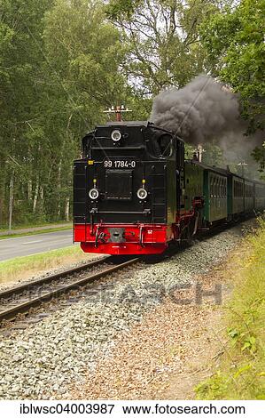 "Rugensche Baderbahn or Rasender Roland narrow gauge railway, Rugen, Mecklenburg-Western Pomerania, Germany, Europe" View Large Photo Image Stock Photo - "Rugensche Baderbahn or Rasender Roland narrow gauge railway, Rugen, Mecklenburg-Western Pomerania, Germany, Europe". Fotosearch