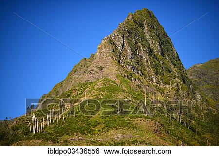"Rugged green mountains rises above the rainforest, Madeira, Portugal, Europe" View Large Photo Image Stock Photograph - "Rugged green mountains rises above the rainforest, Madeira, Portugal, Europe". Fotosearch