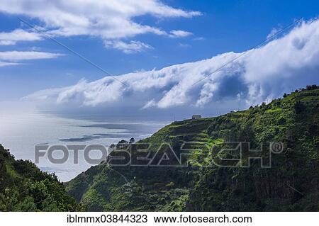 "Rugged, verdant coastal landscape, Madeira, Portugal, Europe" View Large Photo Image Stock Image - "Rugged, verdant coastal landscape, Madeira, Portugal, Europe". Fotosearch