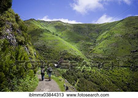 "Rugged, verdant mountain landscape with hiking trail and hikers, Madeira, Portugal, Europe" View Large Photo Image Stock Image - "Rugged, verdant mountain landscape with hiking trail and hikers, Madeira, Portugal, Europe". Fotosearch
