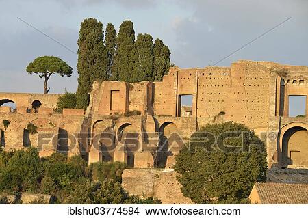 "Ruins of Domus Augustana on Palatine Hill with Pines (Pinus pinea), Rome, Lazio, Italy, Europe" View Large Photo Image Picture - "Ruins of Domus Augustana on Palatine Hill with Pines (Pinus pinea), Rome, Lazio, Italy, Europe". Fotosearch