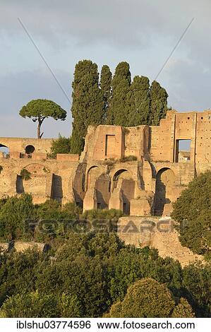 Stock Photograph - "Ruins of Domus Augustana on Palatine Hill with Pines (Pinus pinea), Rome, Lazio, Italy, Europe". Fotosearch