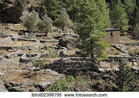 "Ruins of Samaria, Samaria Gorge, Crete, Greece, Europe" View Large Photo Image Stock Photography - "Ruins of Samaria, Samaria Gorge, Crete, Greece, Europe". Fotosearch