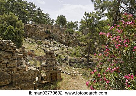 "Ruins of the ancient city of Lyrbe or Seleucia, Manavgat, Antalya Province, Turkey, Asia" View Large Photo Image Stock Image - "Ruins of the ancient city of Lyrbe or Seleucia, Manavgat, Antalya Province, Turkey, Asia". Fotosearch