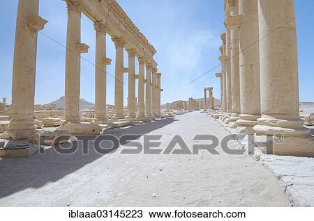 "Ruins of the ancient city of Palmyra, Palmyra District, Homs Governorate, Syria, Asia" View Large Photo Image Stock Image - "Ruins of the ancient city of Palmyra, Palmyra District, Homs Governorate, Syria, Asia". Fotosearch