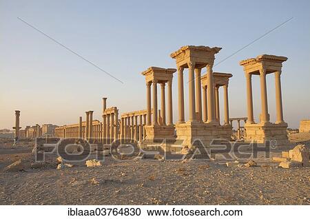 "Ruins of the ancient city of Palmyra in the morning light, Palmyra District, Homs Governorate, Syria, Asia" View Large Photo Image Stock Image - "Ruins of the ancient city of Palmyra in the morning light, Palmyra District, Homs Governorate, Syria, Asia". Fotosearch