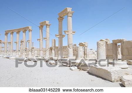 "Ruins of the ancient city of Palmyra, Palmyra District, Homs Governorate, Syria, Asia" View Large Photo Image Stock Photo - "Ruins of the ancient city of Palmyra, Palmyra District, Homs Governorate, Syria, Asia". Fotosearch