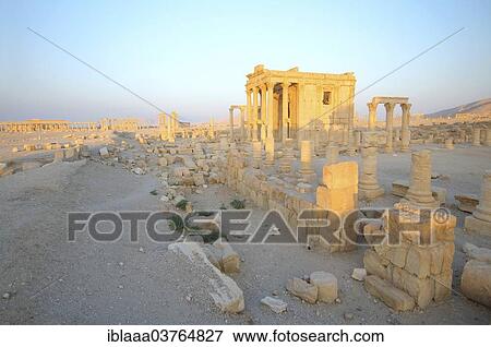 "Ruins of the ancient city of Palmyra in the morning light, UNESCO World Heritage Site, Palmyra, Tadmur, Palmyra District, Homs Governorate, Syria, Asia" View Large Photo Image Stock Photo - "Ruins of the ancient city of Palmyra in the morning light, UNESCO World Heritage Site, Palmyra, Tadmur, Palmyra District, Homs Governorate, Syria, Asia". Fotosearch