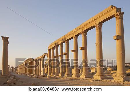 "Ruins of the ancient city of Palmyra in the morning light, Palmyra District, Homs Governorate, Syria, Asia" View Large Photo Image Stock Photo - "Ruins of the ancient city of Palmyra in the morning light, Palmyra District, Homs Governorate, Syria, Asia". Fotosearch