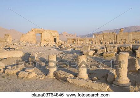 "Ruins of the ancient city of Palmyra in the morning light, UNESCO World Heritage Site, Palmyra, Tadmur, Palmyra District, Homs Governorate, Syria, Asia" View Large Photo Image Stock Photograph - "Ruins of the ancient city of Palmyra in the morning light, UNESCO World Heritage Site, Palmyra, Tadmur, Palmyra District, Homs Governorate, Syria, Asia". Fotosearch