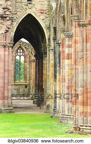 "Ruins of the Cistercian monastery of Melrose Abbey, 12th century, Melrose, Scottish Borders, Scotland, United Kingdom, Europe" View Large Photo Image Stock Photograph - "Ruins of the Cistercian monastery of Melrose Abbey, 12th century, Melrose, Scottish Borders, Scotland, United Kingdom, Europe". Fotosearch