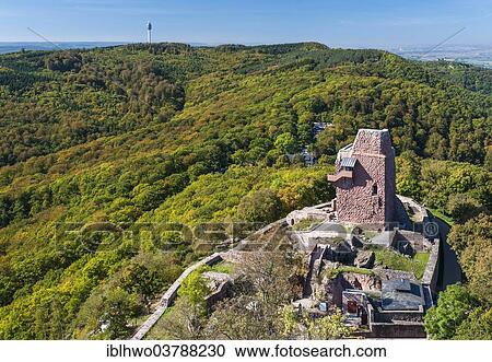 Stock Image - "Ruins of the Reichsburg Kyffhausen, Barbarossa tower of the upper castle, 11th century, Thuringia, Germany, Europe". Fotosearch