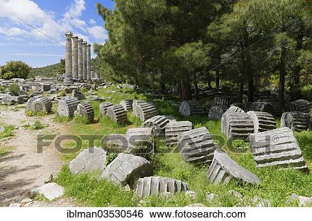 "Ruins of the Temple of Athena, Priene, Gullubahce, Aydin province, Aegean region, Turkey, Asia" View Large Photo Image Stock Photograph - "Ruins of the Temple of Athena, Priene, Gullubahce, Aydin province, Aegean region, Turkey, Asia". Fotosearch