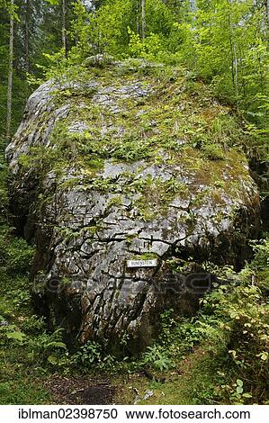 "Rune stone, Echerntal valley near Hallstatt, Salzkammergut, Upper Austria, Austria, Europe" View Large Photo Image Stock Image - "Rune stone, Echerntal valley near Hallstatt, Salzkammergut, Upper Austria, Austria, Europe". Fotosearch