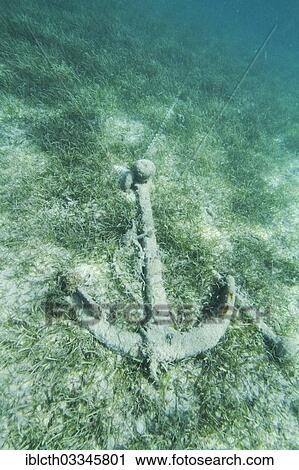"Rusted and overgrown anchor on the seabed, Amedee Island, New Caledonia, France, Oceania" View Large Photo Image Stock Image - "Rusted and overgrown anchor on the seabed, Amedee Island, New Caledonia, France, Oceania". Fotosearch