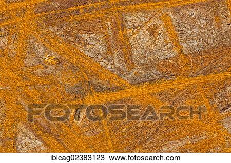 Rusty metal surface View Large Photo Image Stock Image - Rusty metal surface. Fotosearch
