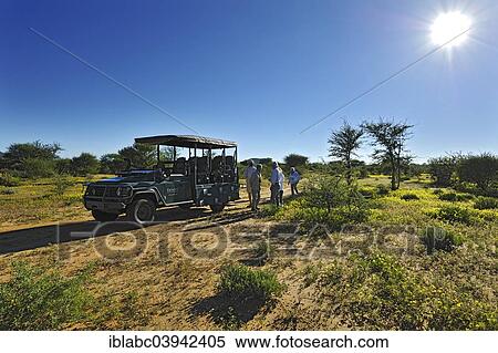 "Safari carriage with tourists in blooming savannah, Erindi Game Reserve, Namibia, Africa" View Large Photo Image Stock Photography - "Safari carriage with tourists in blooming savannah, Erindi Game Reserve, Namibia, Africa". Fotosearch