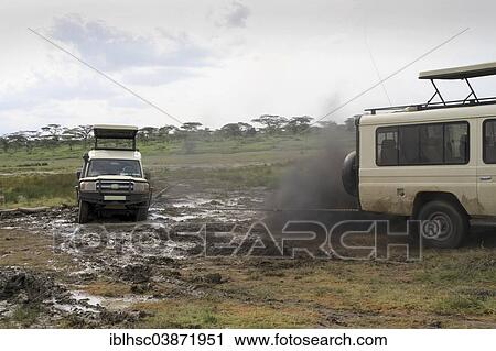 Stock Image - "Safari vehicles, tow action, mud hole, Serengeti, Tanzania, Africa". Fotosearch