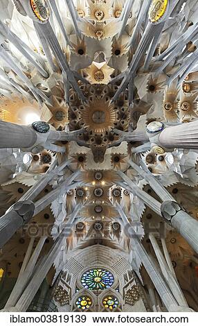 "Sagrada Familia Church, ceiling, interor, Barcelona, Spain, Europe" View Large Photo Image Stock Photo - "Sagrada Familia Church, ceiling, interor, Barcelona, Spain, Europe". Fotosearch