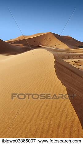 "Sahara sand dunes of erg Chebbi, Morocco, Africa" View Large Photo Image Stock Photo - "Sahara sand dunes of erg Chebbi, Morocco, Africa". Fotosearch